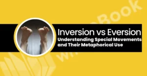 inversion vs eversion