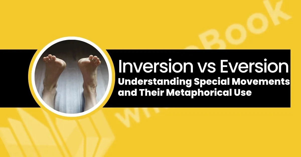 inversion vs eversion